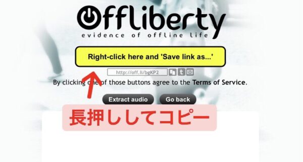 OfflibertyiPhoneコピー