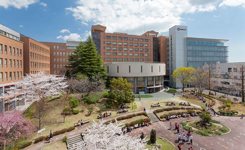 桜美林大学の卒業