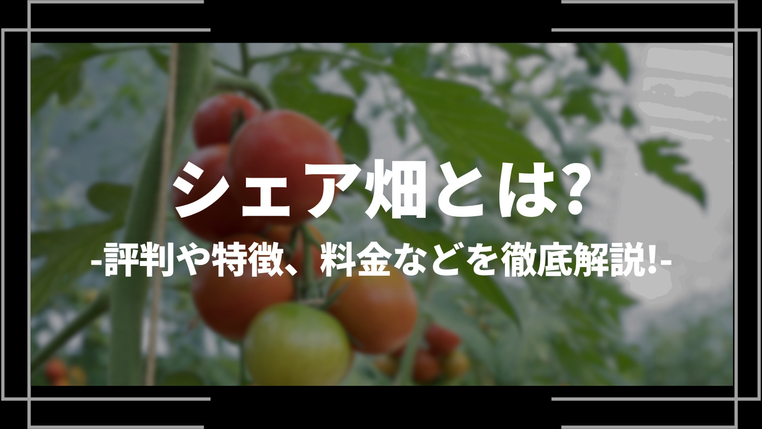 シェア畑とは？評判や特徴、料金などを徹底解説！