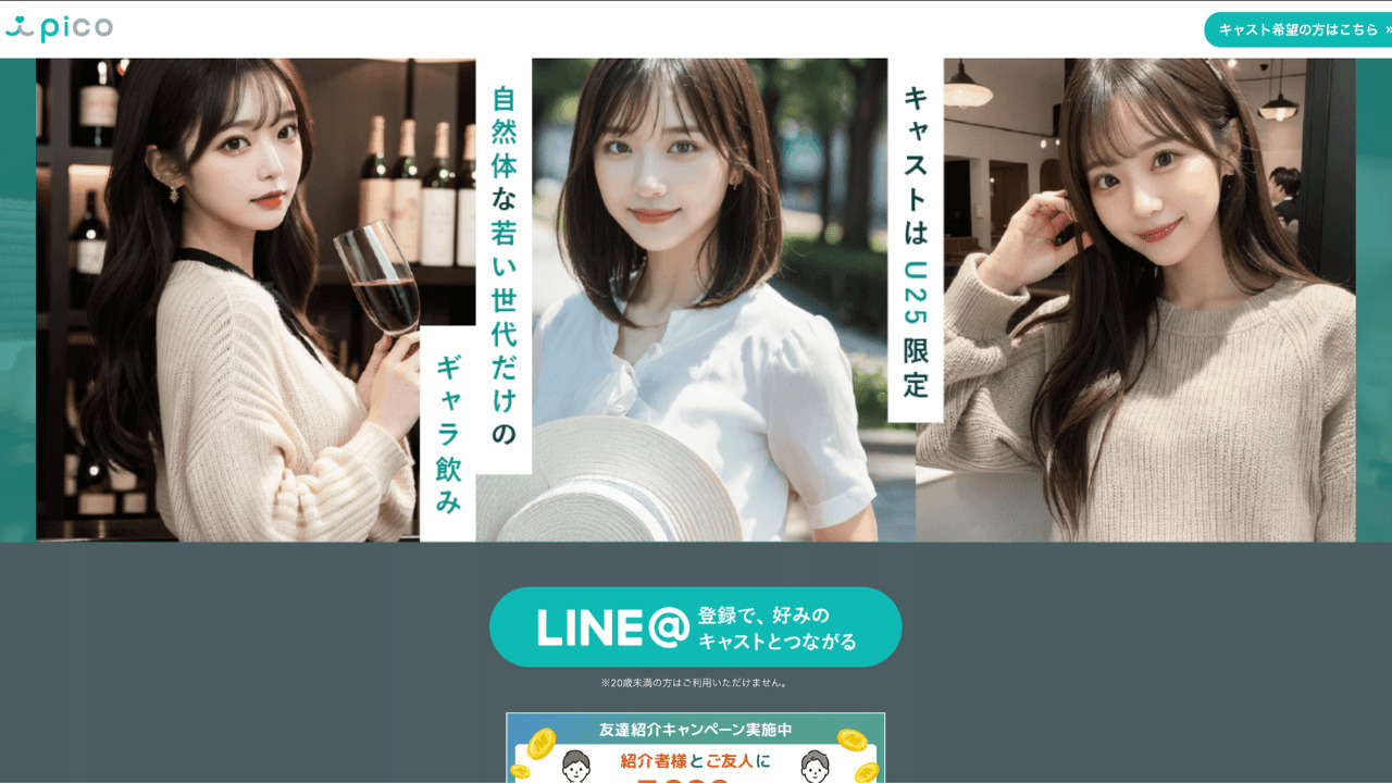 pico公式