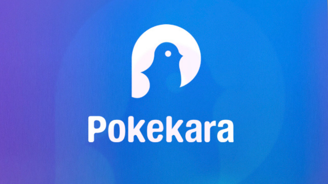 ポケカラ と は